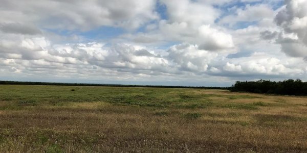 Listing image 105405-0